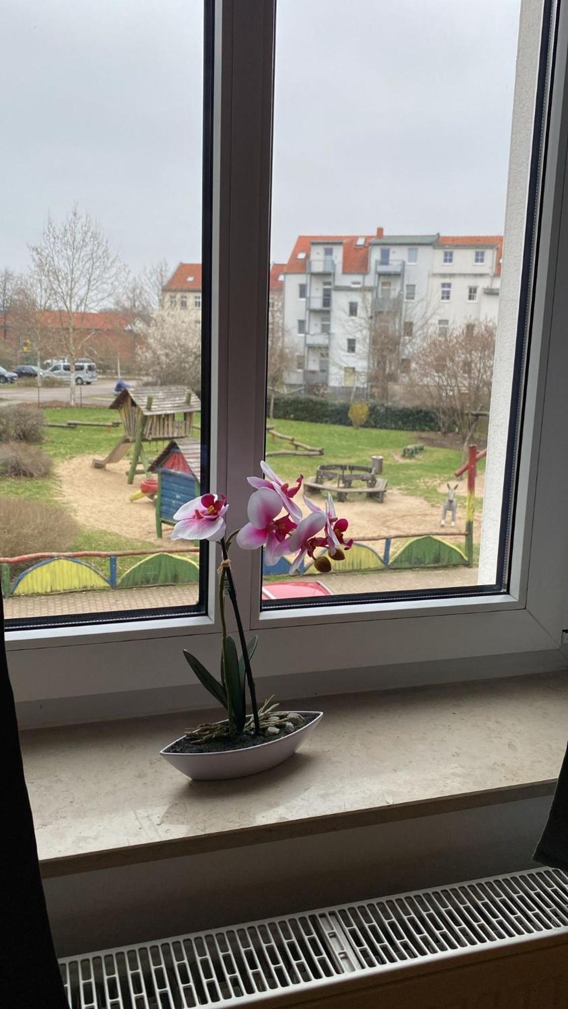 Fewo "Franzi" 5 Personen, Zentrale Lage, Parkplatz Dessau-Rosslau المظهر الخارجي الصورة